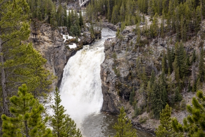 Upper Falls Yellowstone River 2025